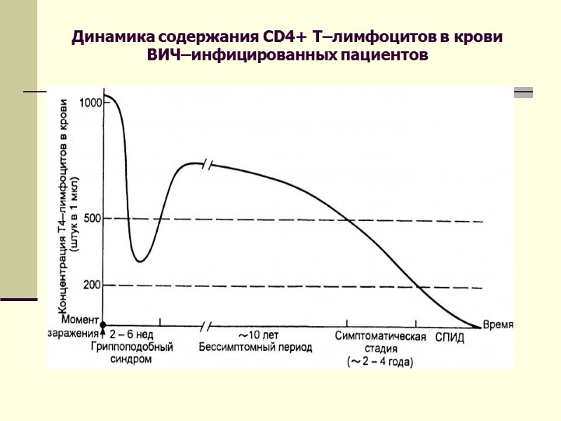 Динамика содержания CD4+ T–лимфоцитов в крови ВИЧ–инфицированных пациентов